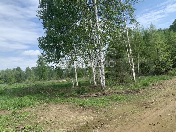 Участок 12 сот. (ИЖС)