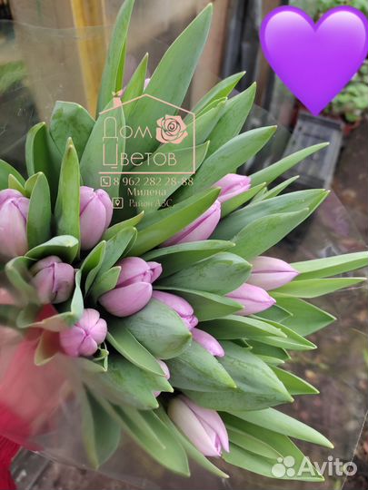 Тюльпаны (букеты)