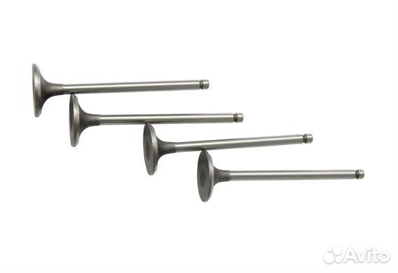 Клапана впуска и выпуска