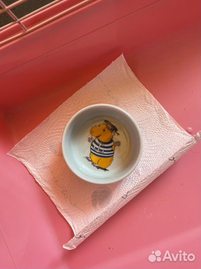 Клетка для морской свинки