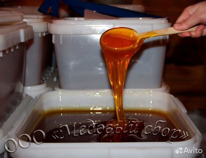 Мёд оптом