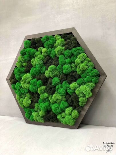 Стабилизированный мох. кг