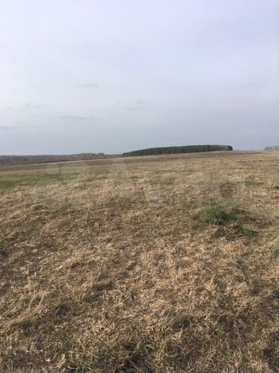 Участок 15 га (СНТ, ДНП)