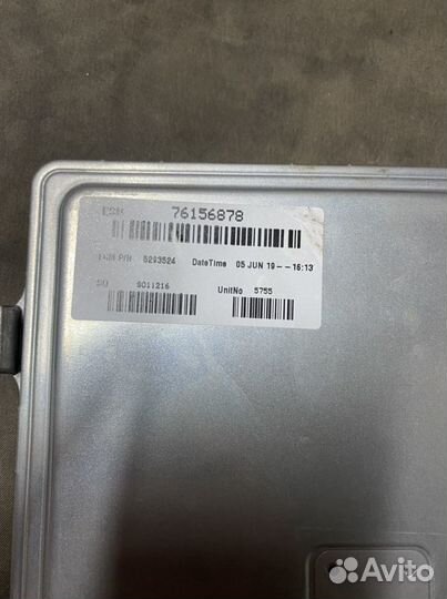 Эбу мозги газель (новые) каменс