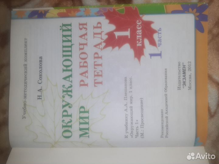 Тетрадь рабочая 1 класс по окружающему миру