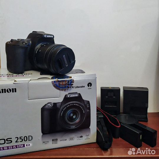 Фотоаппарат Canon eos 250d Kit EF-S 18-55mm