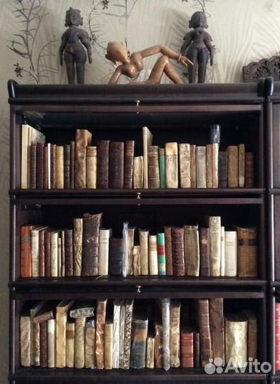 Библиотека. Инвестиционный лот из 100 книг 16 века