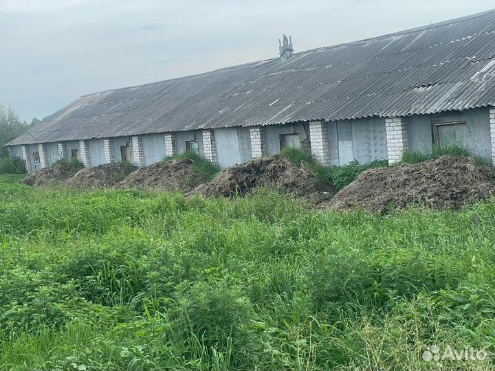 Навоз перегной