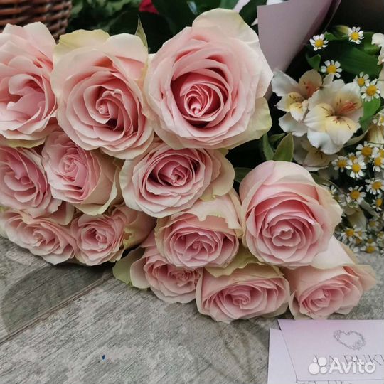 25 Роз 31 Роза 51 Роза Доставка