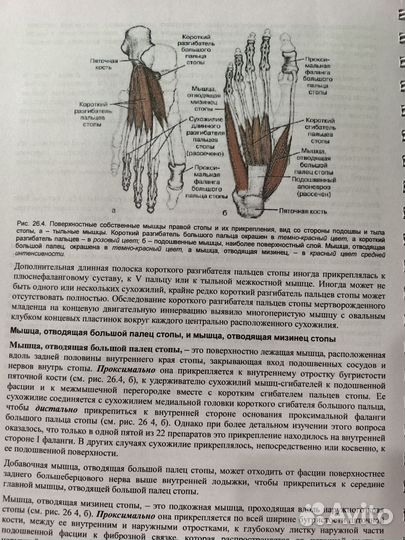 Миофасциальная боли и дисфункции. Симонс Д.Г. 1,2т