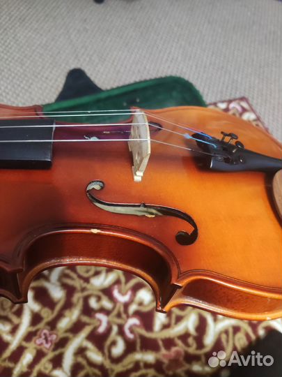 Скрипка 3/4