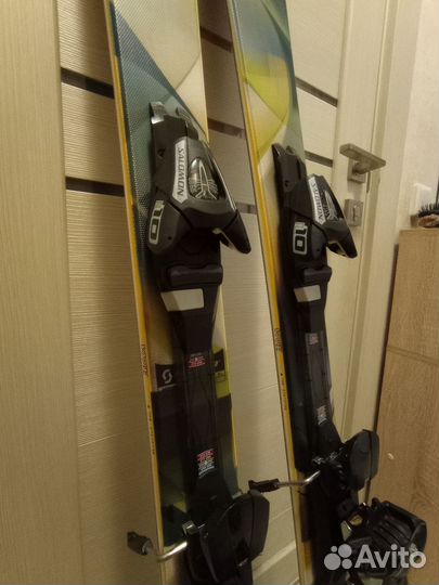 Горные лыжи