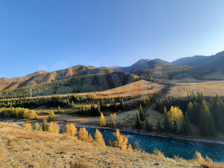 Участок 20 сот. (ИЖС)