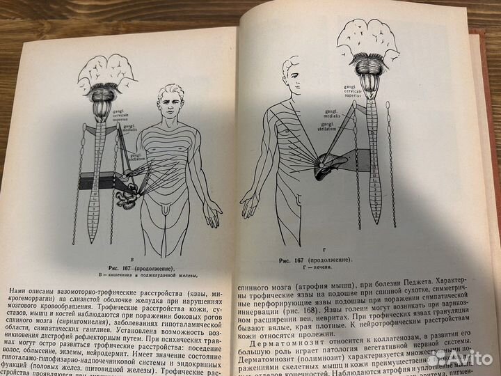 Клинические лекциии по невропатологии