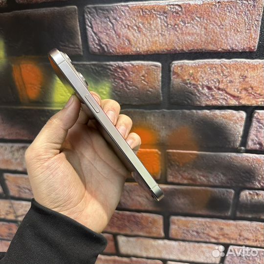 iPhone 15 Pro Max, 256 ГБ