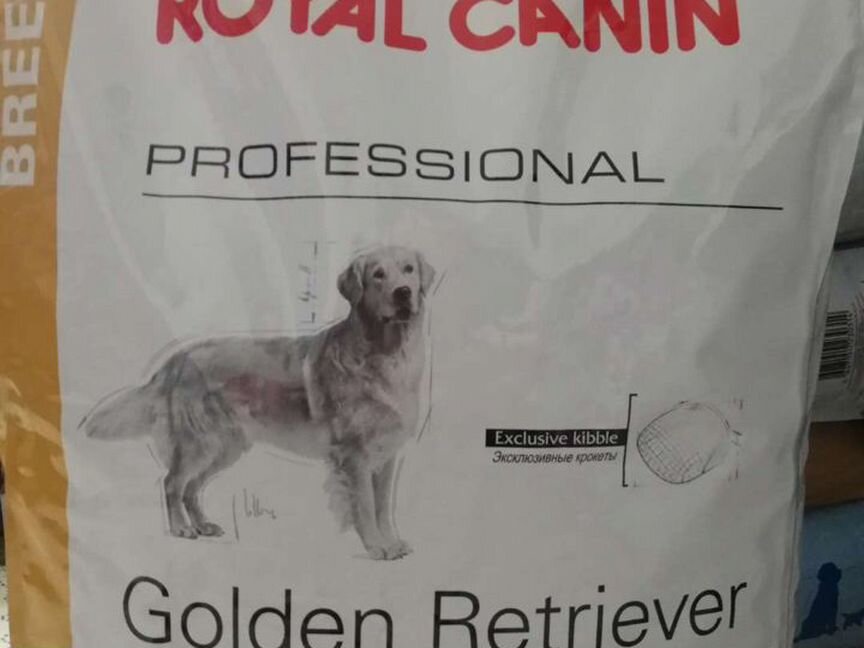 Golden Retriever adult royal canin 16 кг роял кани