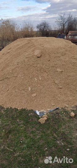 Ракушка кормовая морская