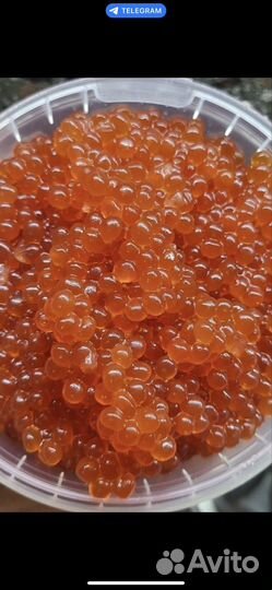 Красная икра опт + розница