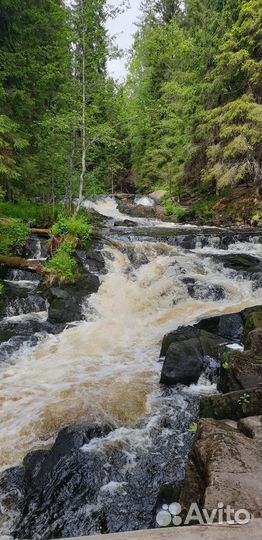 Экскурсия в Карелию. 12 локаций за день