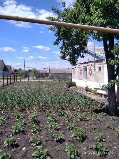 3-к. квартира, 48 м², 1/1 эт.