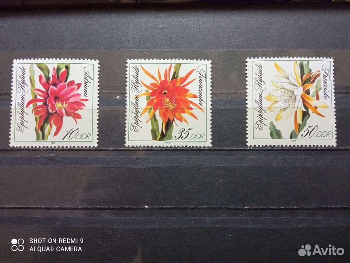 Марки на тему флора