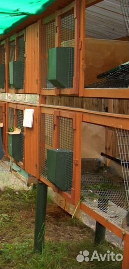 Клетки для кроликов
