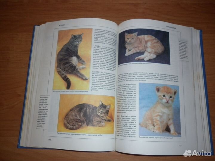 Кошки - справочник 2001 г. (Капра, Роботти)