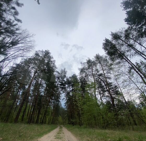 Участок 11 га (СНТ, ДНП)