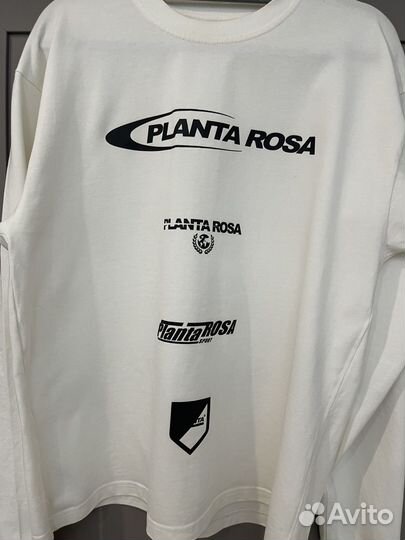 Лонгслив Planta Rosa