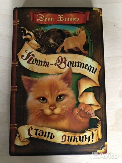 Кники из серии «Коты-воители»