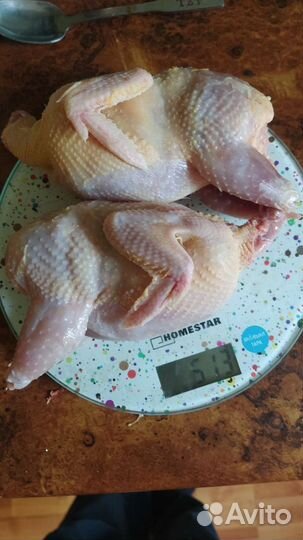 Перепелиное мясо