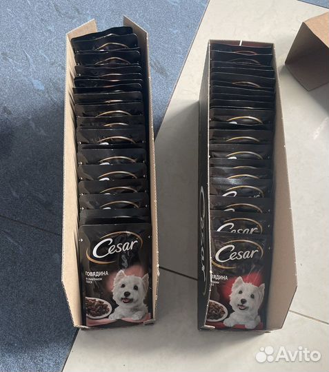 Корм для собак cesar