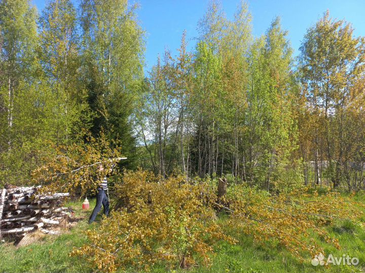 Спил деревьев, Расчистка участков