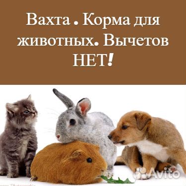 Вахта фасовщик, питание, проживание