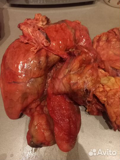 Для собак Субпродукты говяжьи