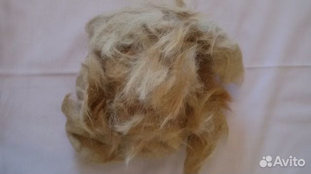 Пух собачий за 365 гр