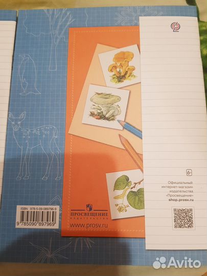 Рабочая тетрадь по окружающему миру 3 класс