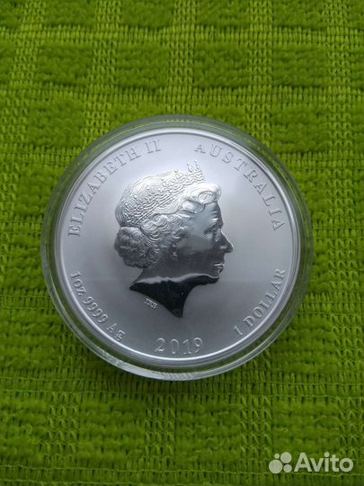 Австралия Лунар 2 Год Собаки и Свиньи