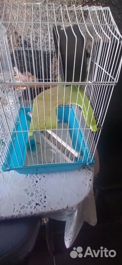 Клетка для грызунов