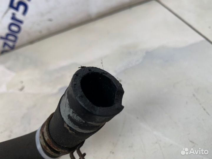 Шланг гидроусилителя Ford Focus 2 CB4 1.6 (shda)