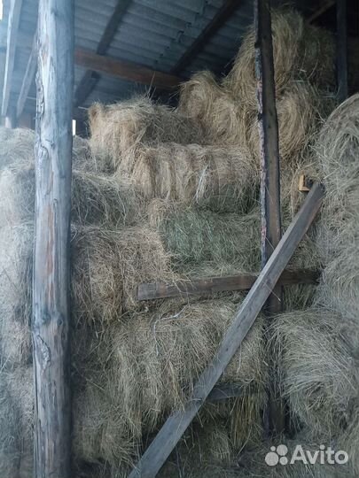 Сено в рулонах 2024 года