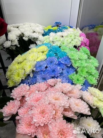 Яркая Хризантема. Букеты. Цветы с Доставкой