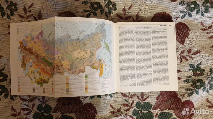 Лесная энциклопедия в 2-х томах