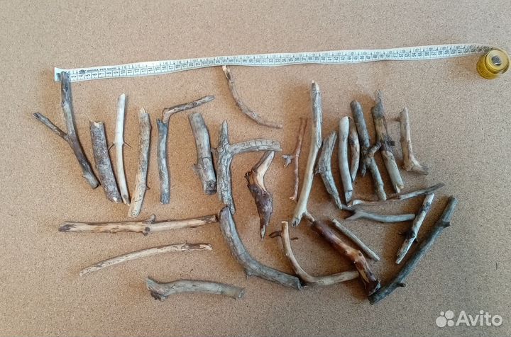 Сосновые веточки палочки для дрифтвуда