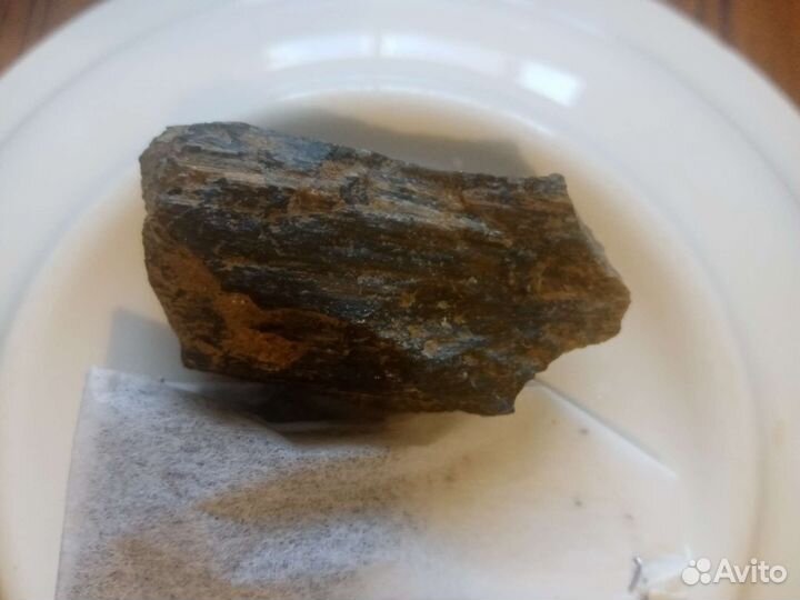 Окаменелости Хететес