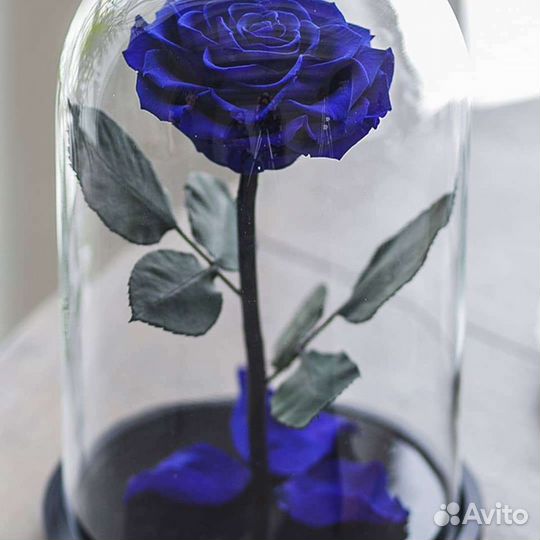 Роза VIP/ идеальный подарок на любой праздник