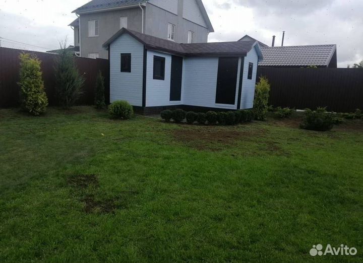 Можжевельник колоновидный Блю Эрроу