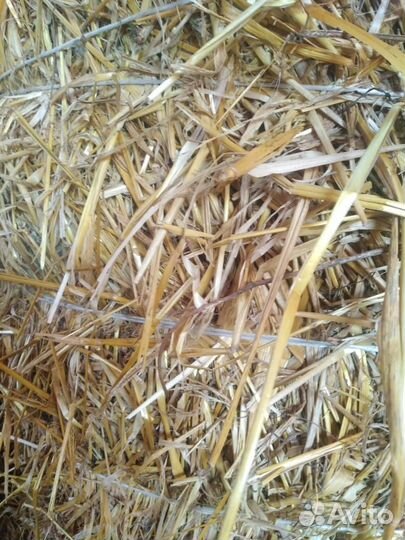 Солома в рулонах