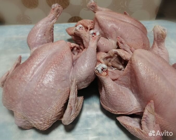 Тушка домашнего бройлера