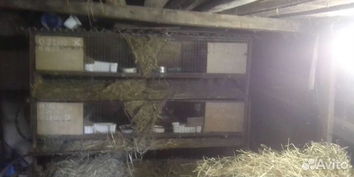 Клетка для кролика